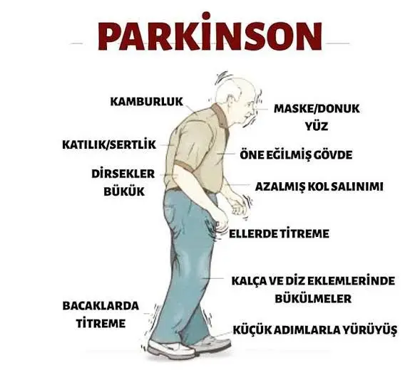 1704447100919.webp