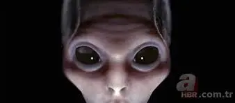 1704467948087.webp
