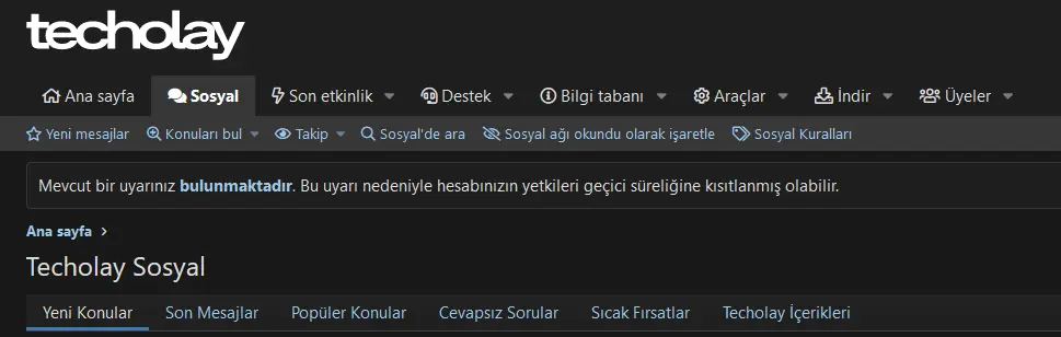 1706541300893.webp