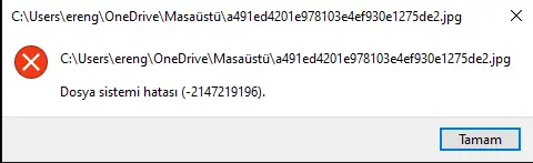 1706613159283.webp