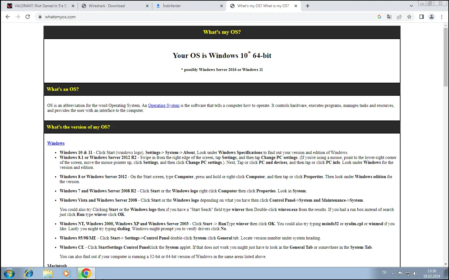 1708252647111.webp
