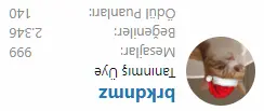 1708601459874.webp