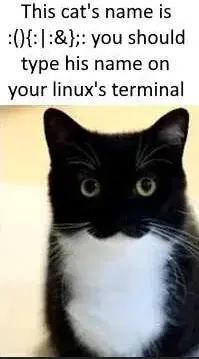 1708714163517.webp