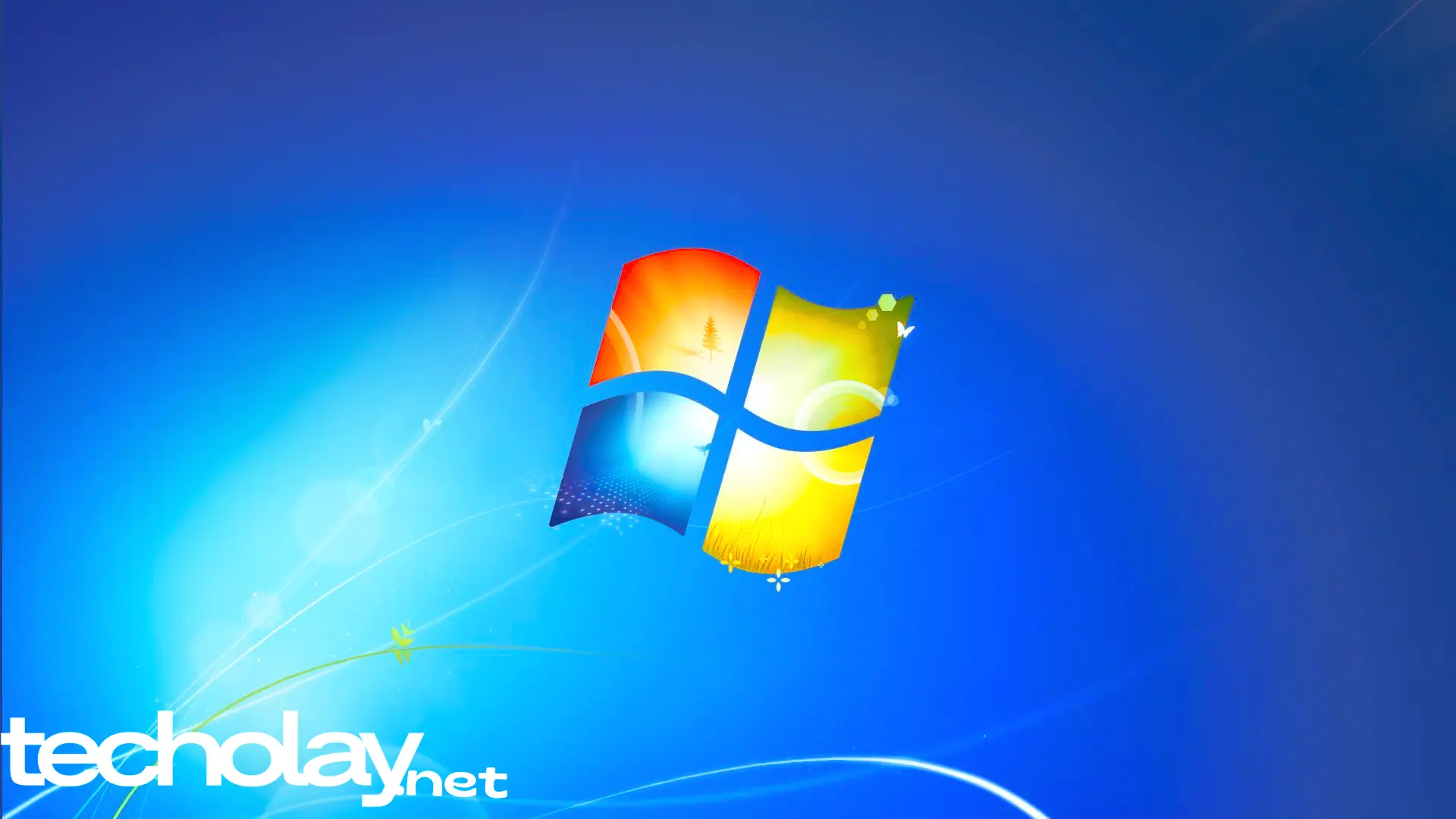 1708788268424.webp