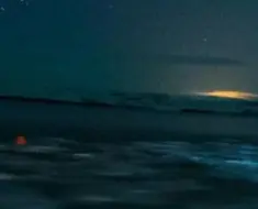1709566442680.webp