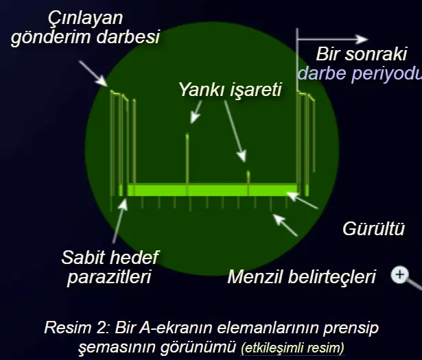 1709568134777.webp