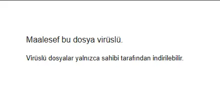 1711631506608.webp
