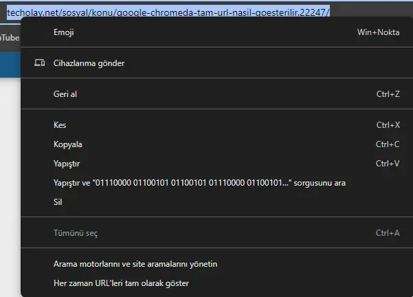 1713795553200.webp