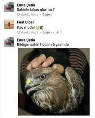 1715173504506.webp