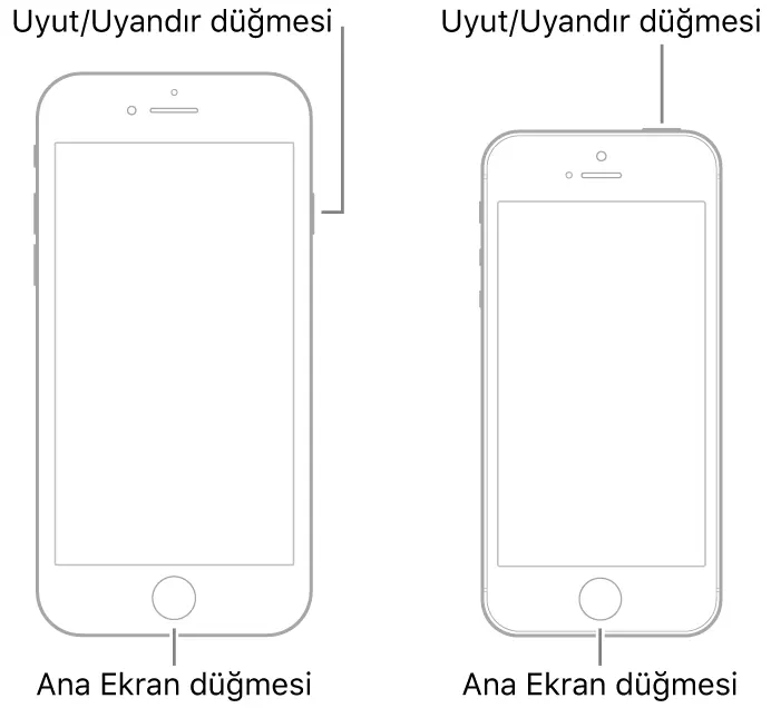 1715627566877.webp