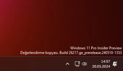 1716206309305.webp