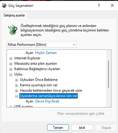 1716694269369.webp
