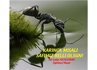 1716818125196.webp