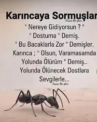 1716818279250.webp