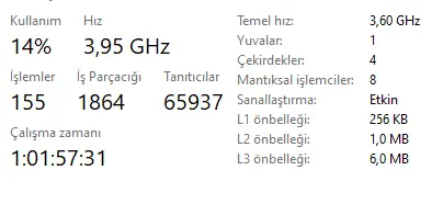 1717433501284.webp