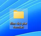 1717442086176.webp