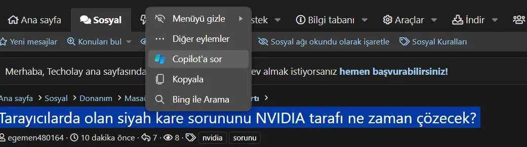 1717459513117.webp