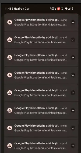 1717581936851.webp
