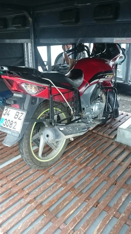 1717609291126.webp
