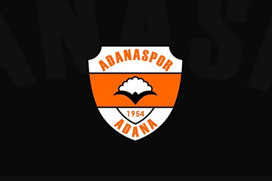 1717848714791.webp