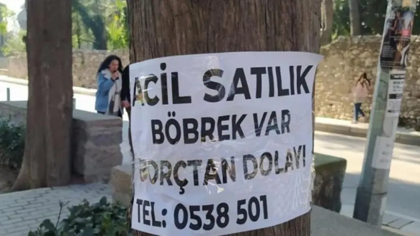 1718051631987.webp