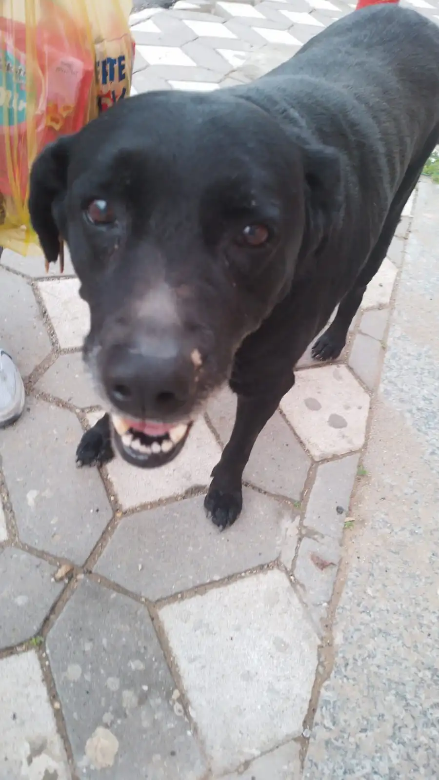 1718052061242.webp