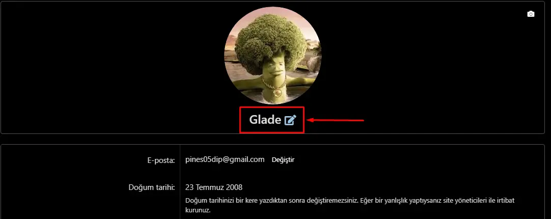 1718302289404.webp