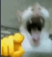 1719486716777.gif