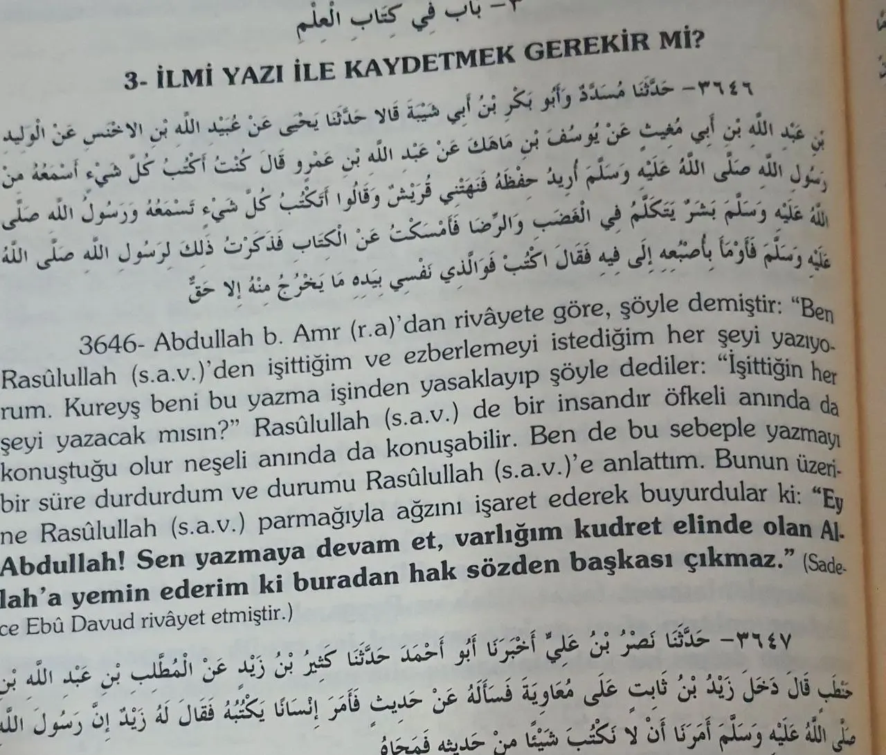 1719520510646.webp