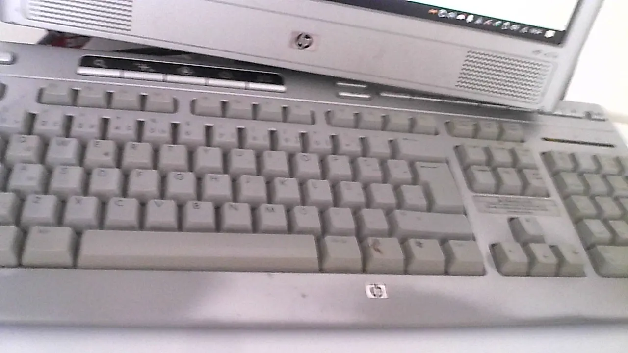 1720098309106.webp