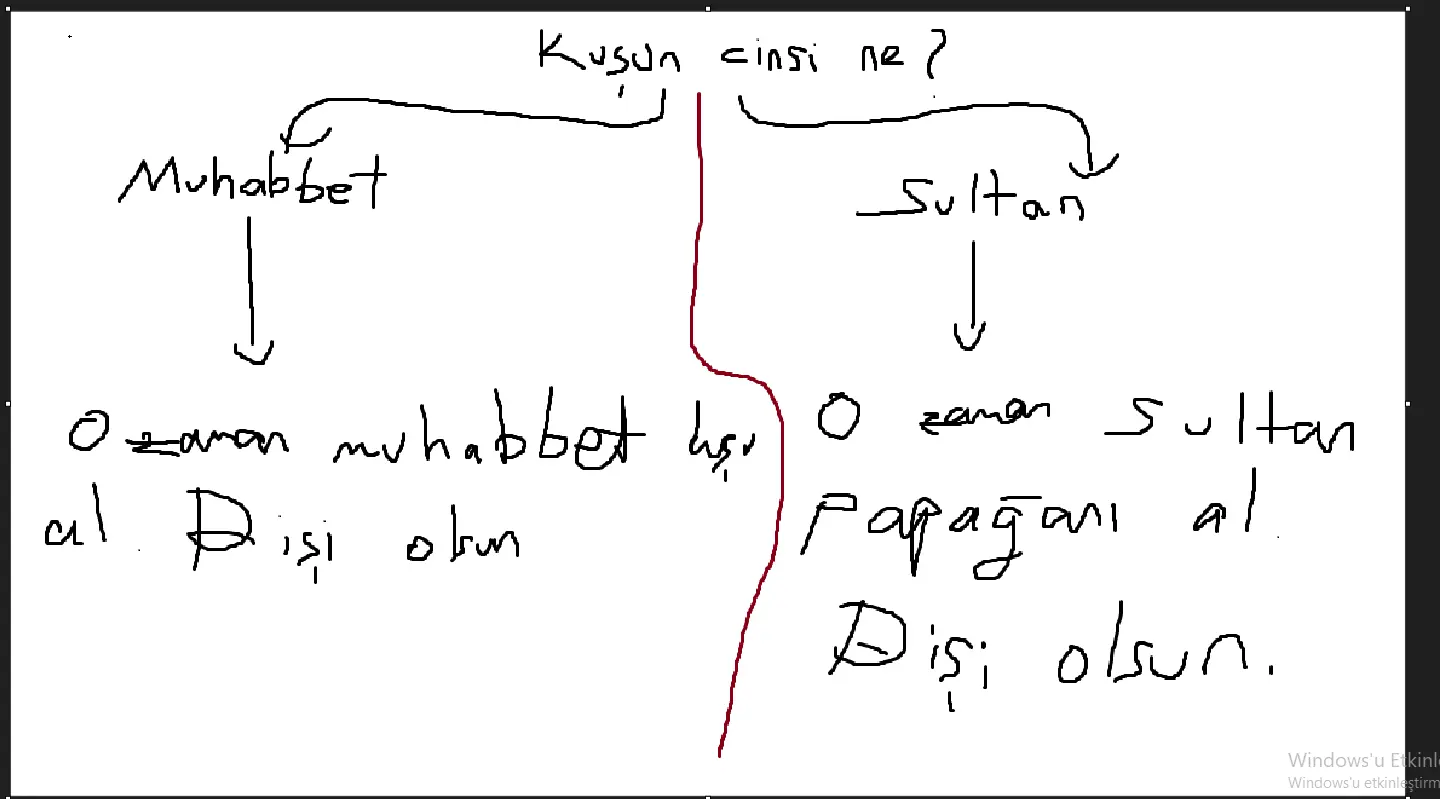 1722441059058.webp