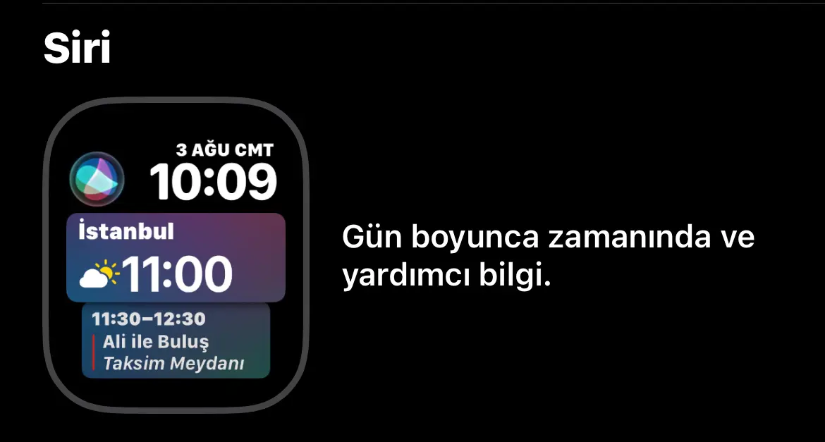 1723197002698.webp
