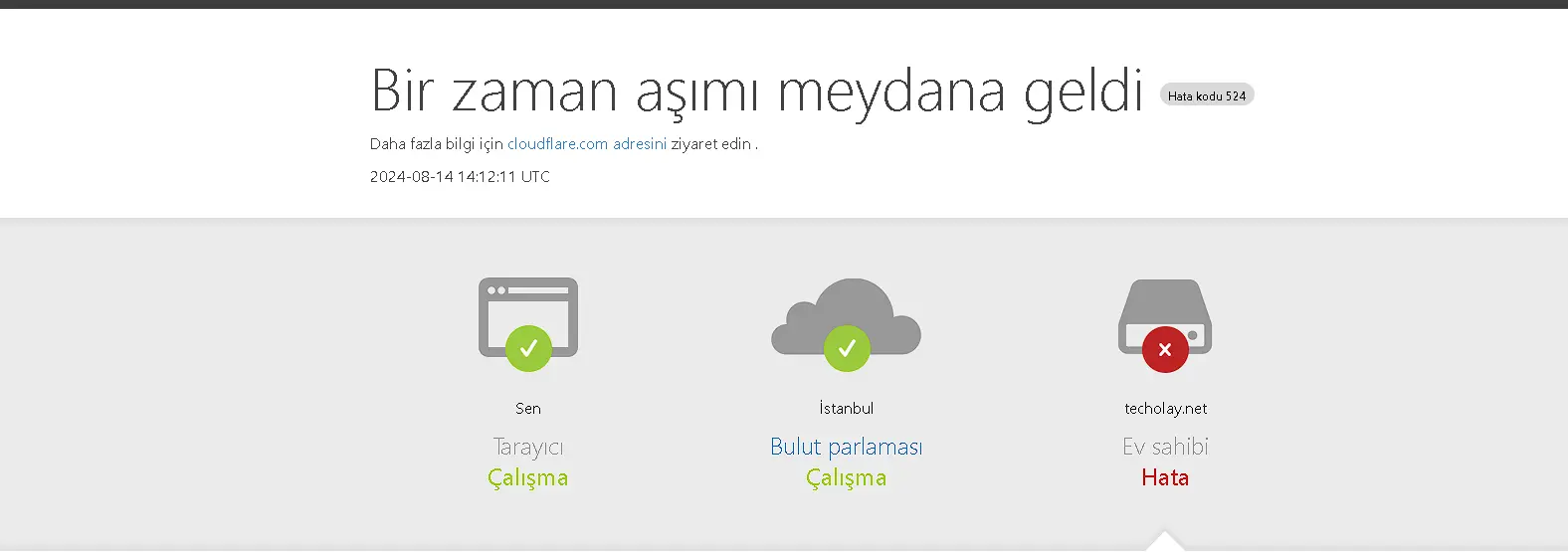 1723644926586.webp