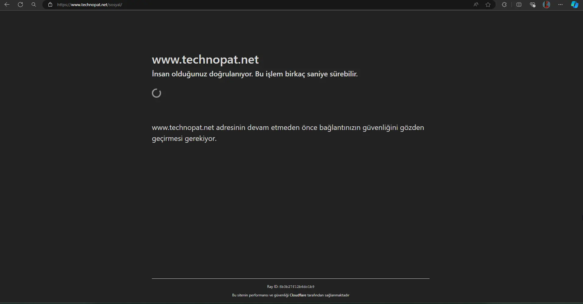 1723745594005.webp