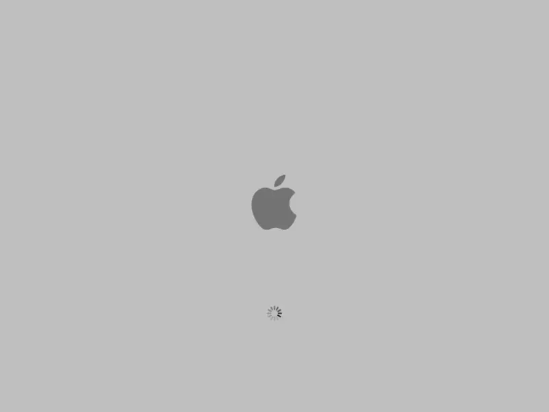 1724165100534.webp