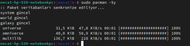 1724331958137.webp