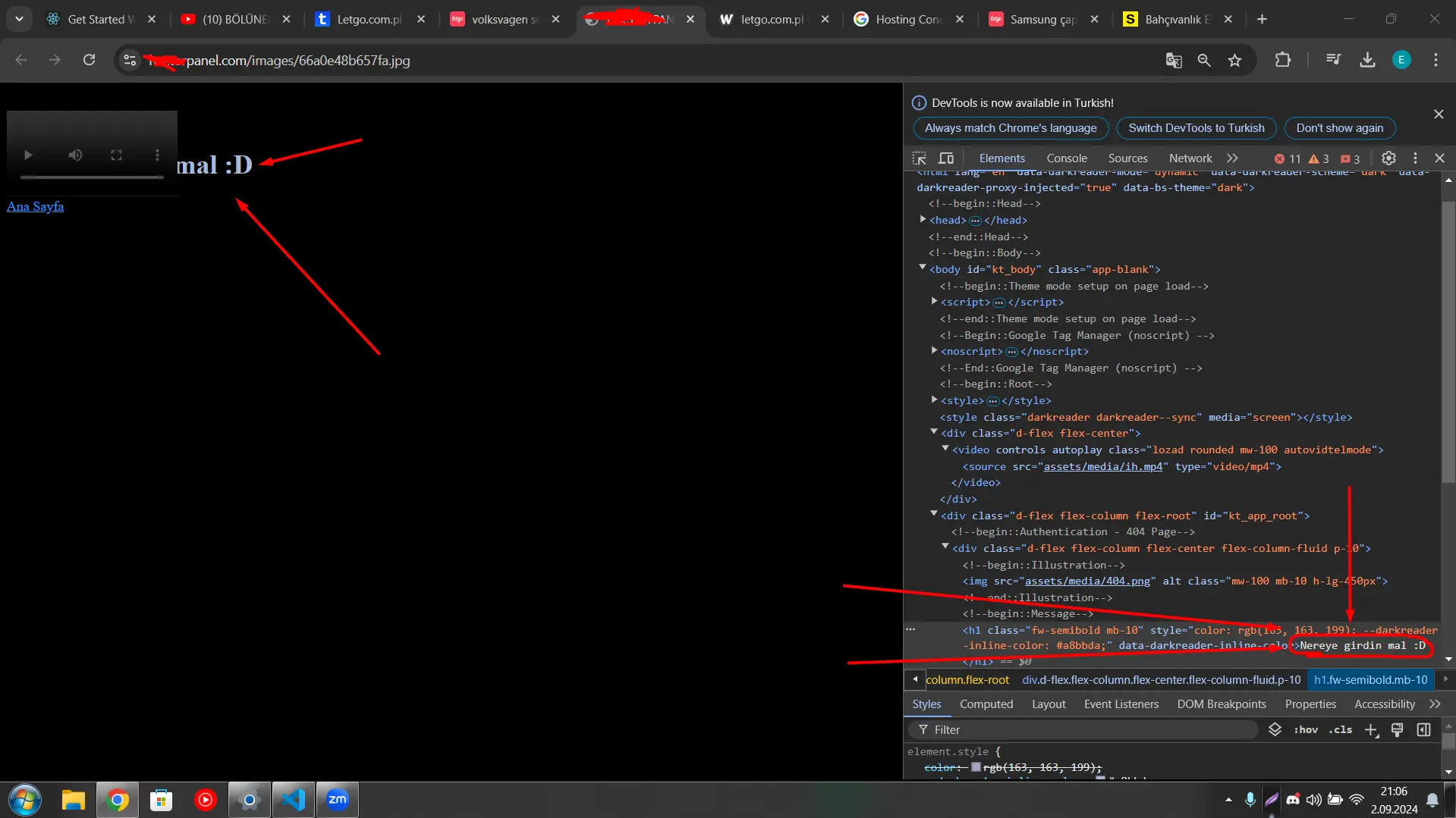 1725300528504.webp