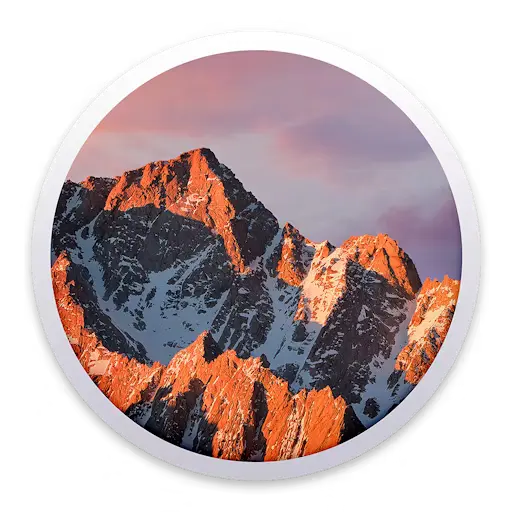 1725809075815.webp