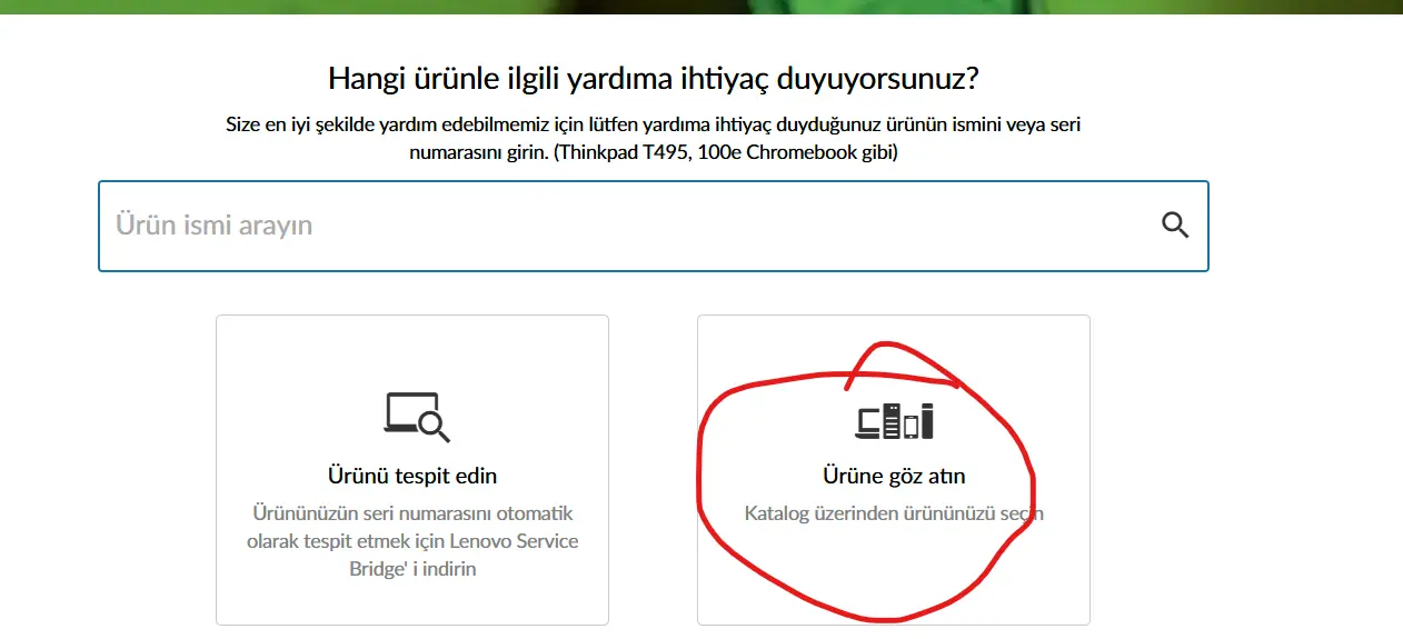 1726059263893.webp