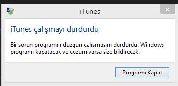 1726230261373.webp