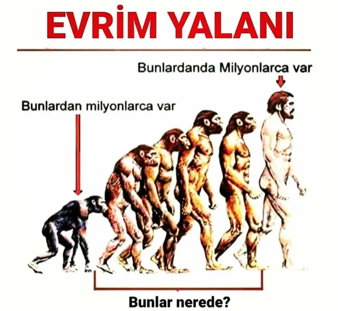 1726606092672.webp