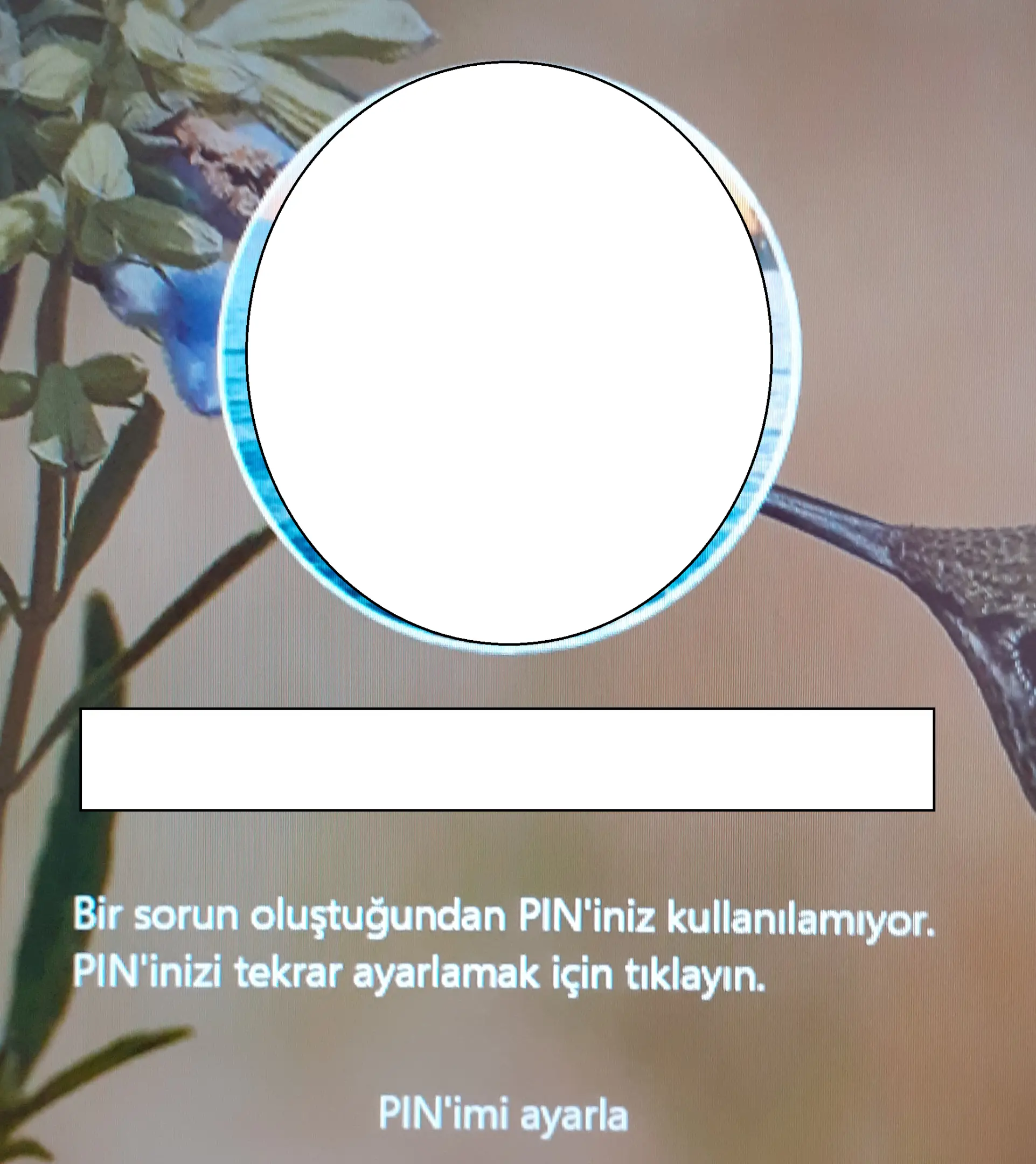 1726658312902.webp