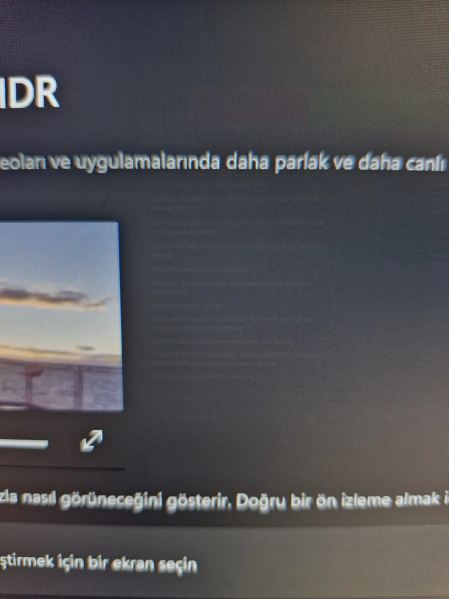 1728083795741.webp