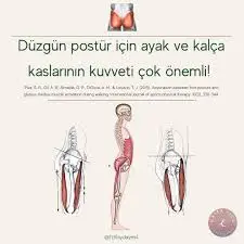1729157516579.webp