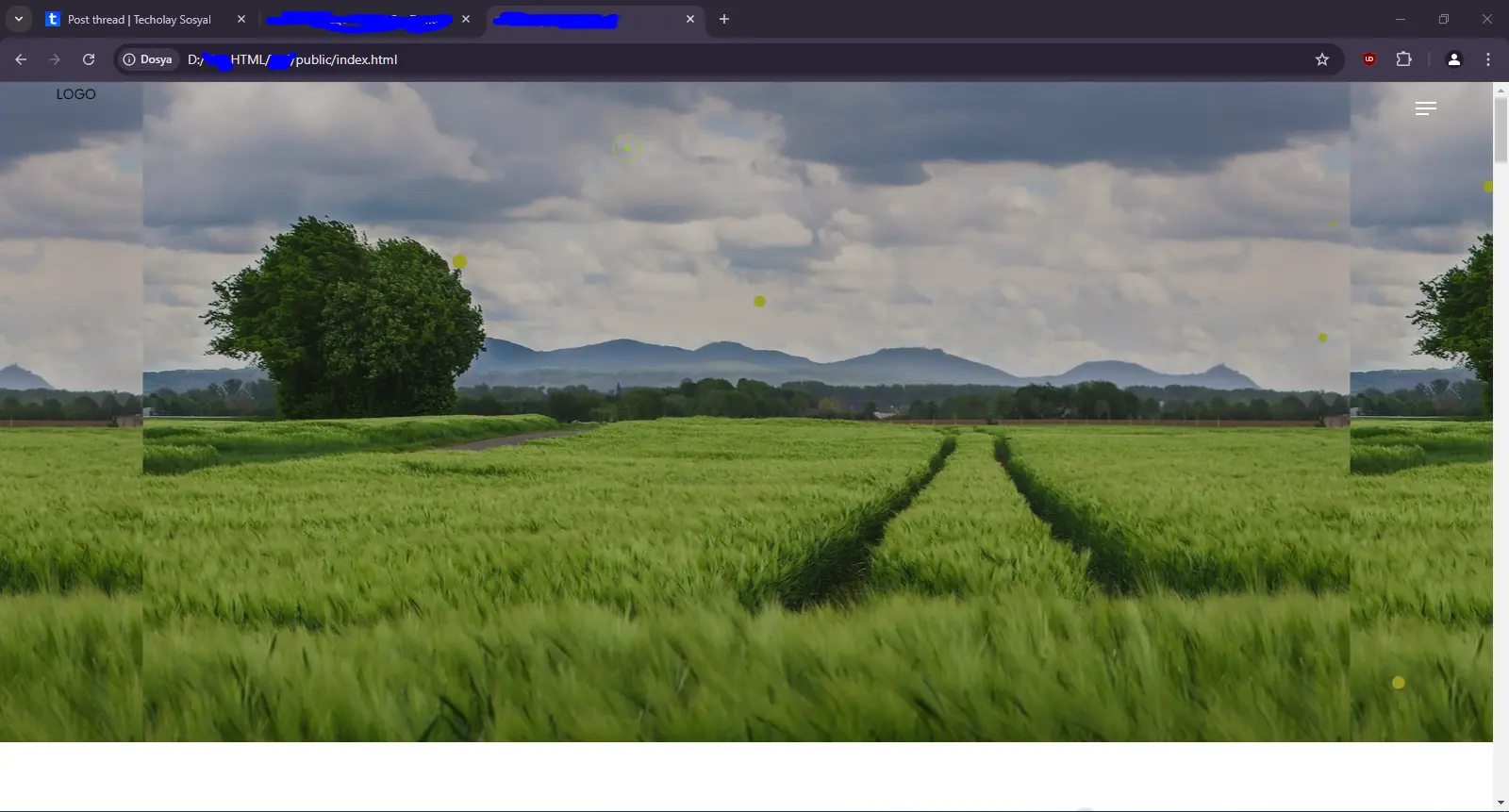 1729168949251.webp