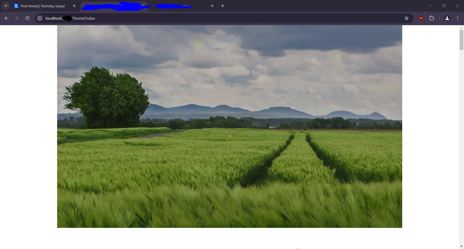 1729169070396.webp