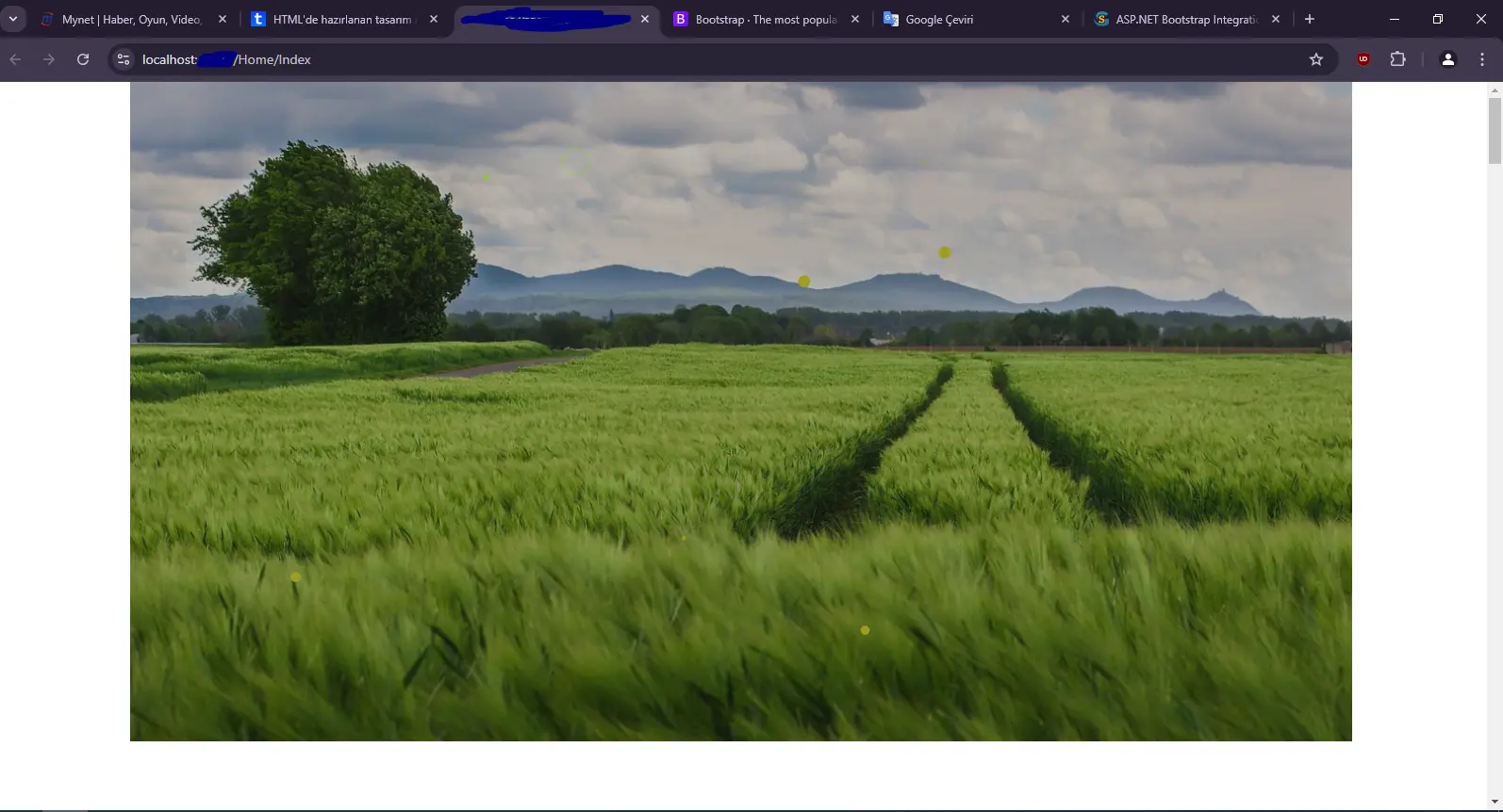 1729231816648.webp