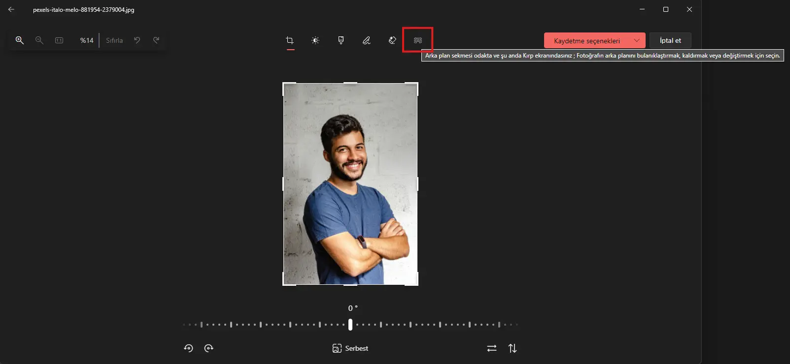 1729316504486.webp