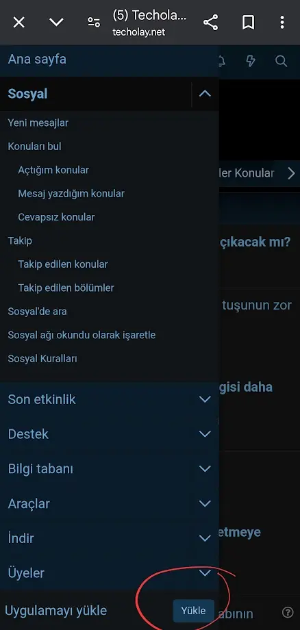 1729328553761.webp
