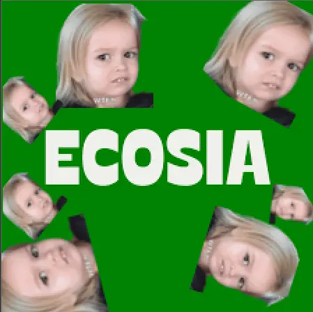 1729932042831.webp